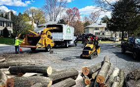  , HI Tree Services Pros