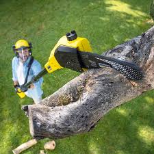 Best Aeration Services  in , HI